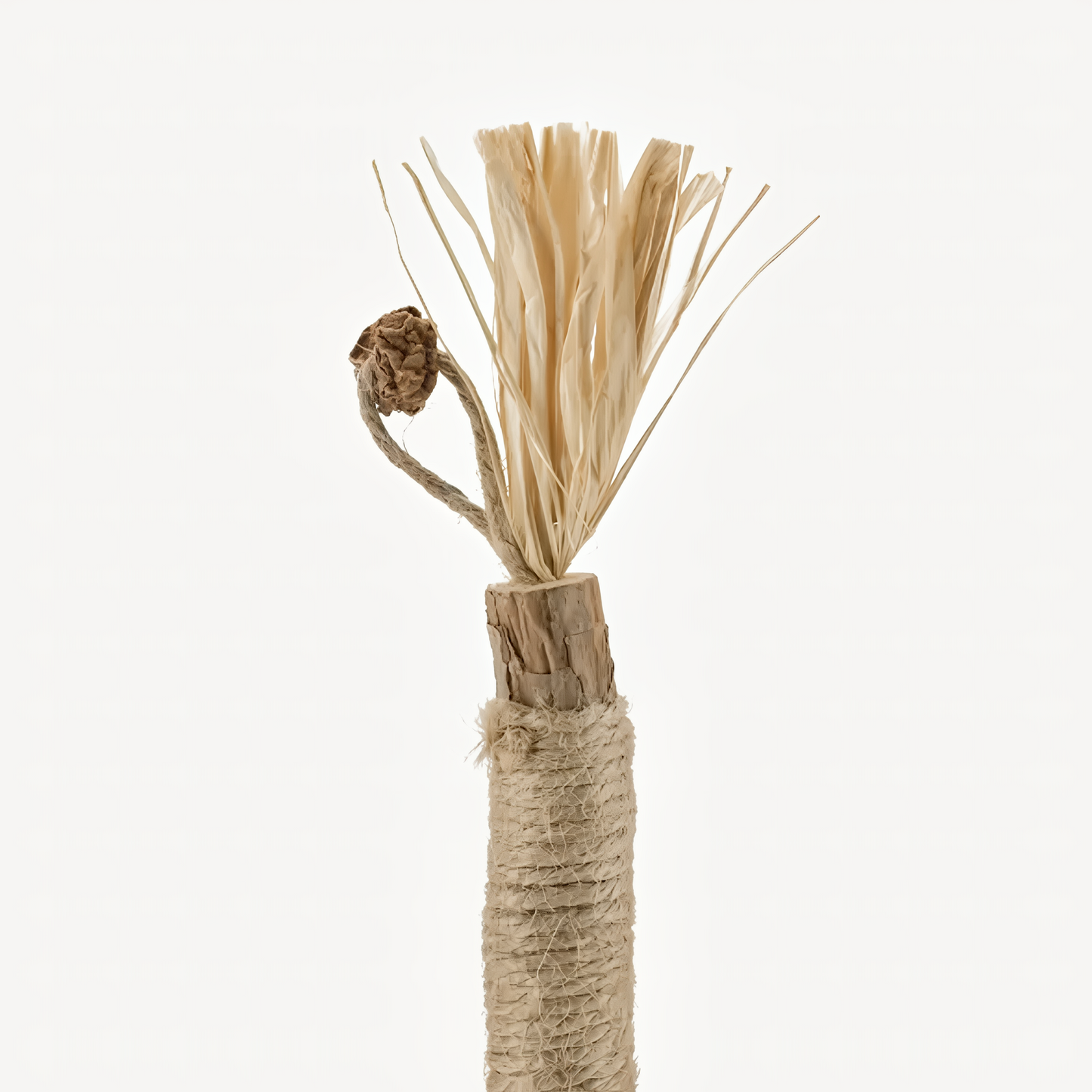 Natural Silvervine Dental Sticks for Cats